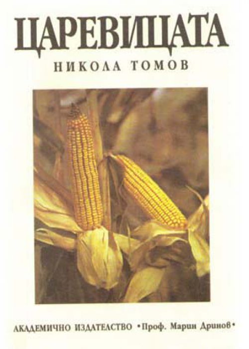 Corn