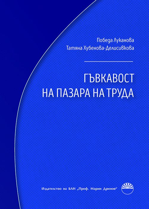 LABOUR MARKET FLEXIBILITY